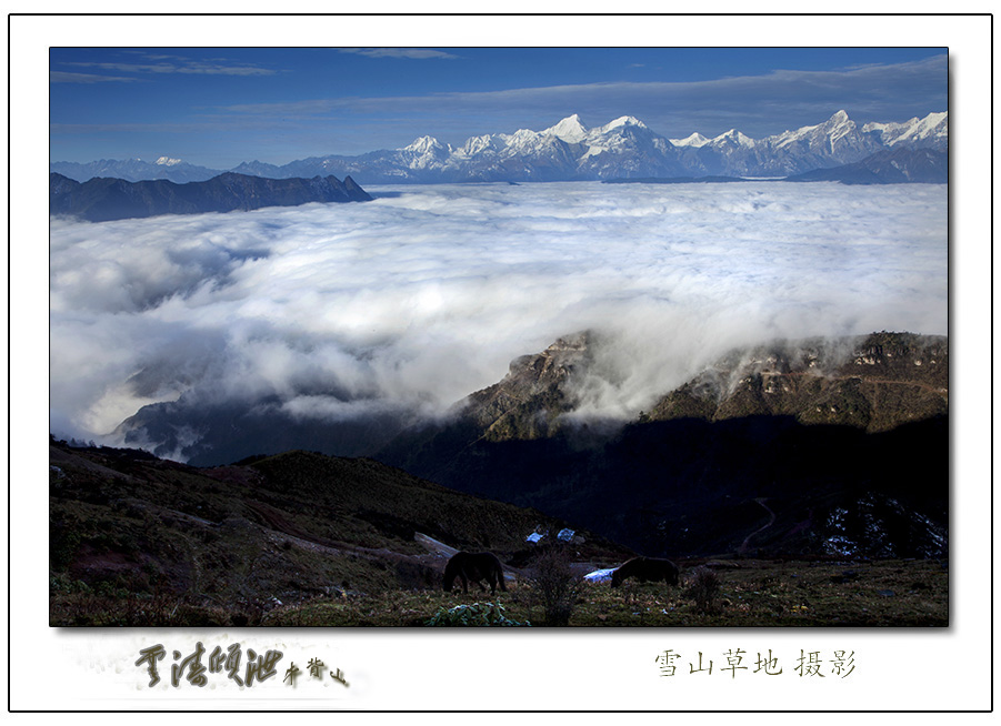 云海倾泄 摄影 雪山草地