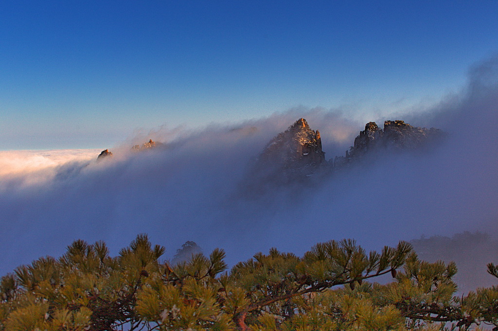 黄山风光（8）云海仙境 摄影 shine2012