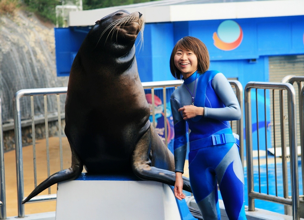 海狮女郎 摄影 秋水孤鹜