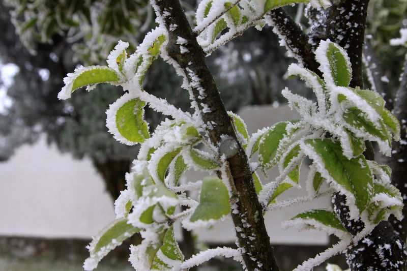 桂林尧山雪景（6） 摄影 湖塘月色