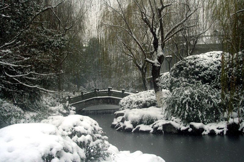 小桥雪景 摄影 元白