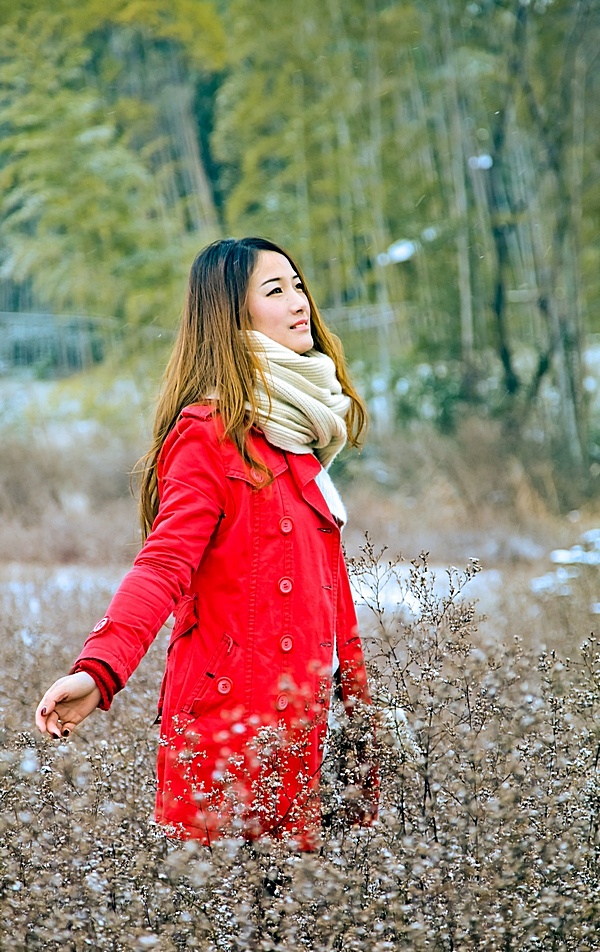 雪里红3 摄影 玉月