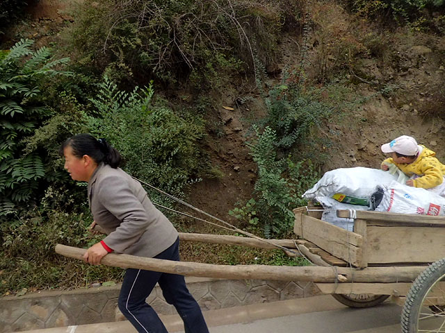 路上的风景 摄影 紫色女人