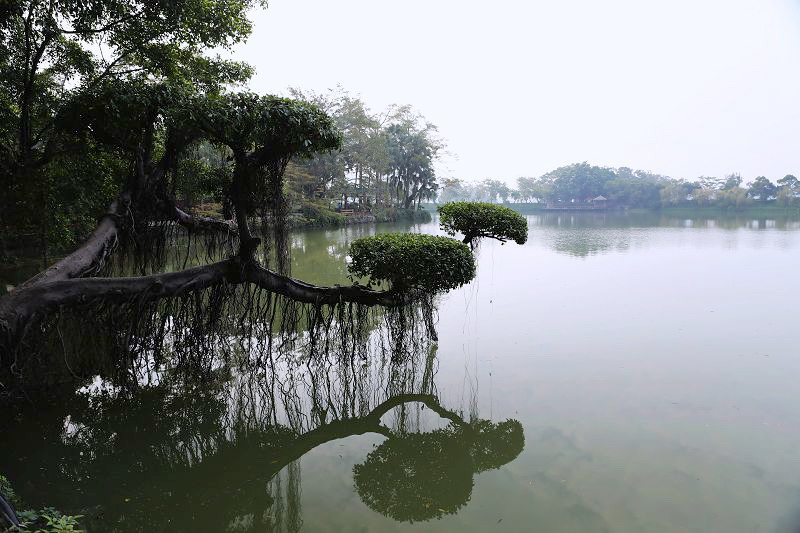 行摄广东3：七星岩风光 摄影 凡星满天