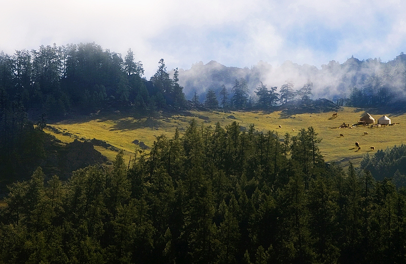 高山牧场 摄影 门鼻儿