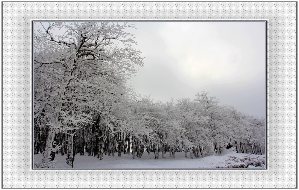 冰雪世界 摄影 ghp0