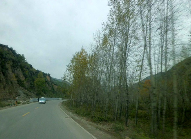 路上的风景 摄影 紫色女人