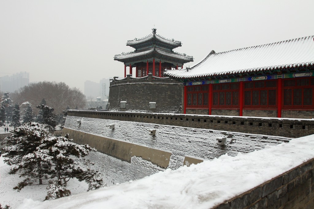 浴雪丛台 摄影 天天想想