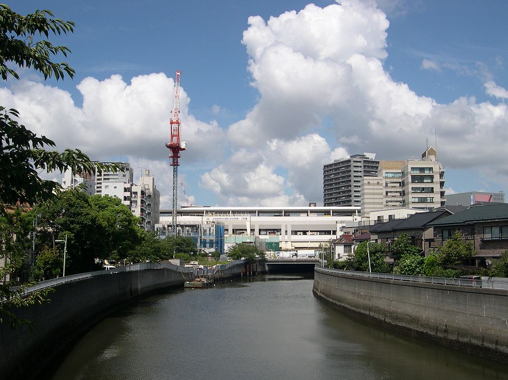 吞川河 摄影 西风胡杨