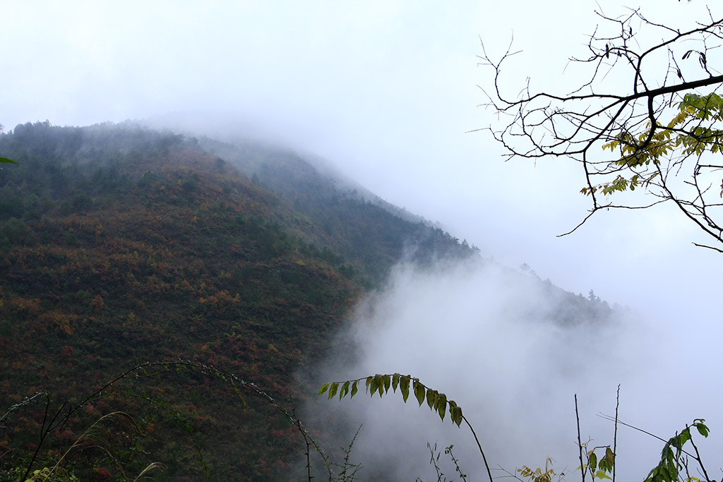 巫山云雨、红叶-11 摄影 南哥定影