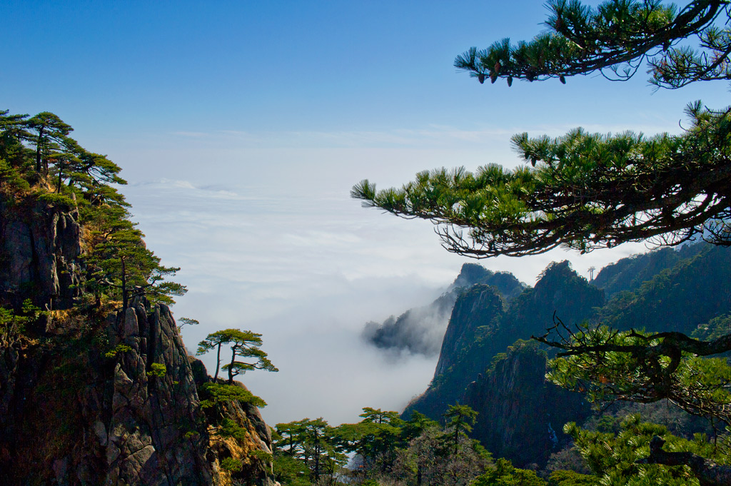 黄山名景------《独树凌风》 摄影 影影其