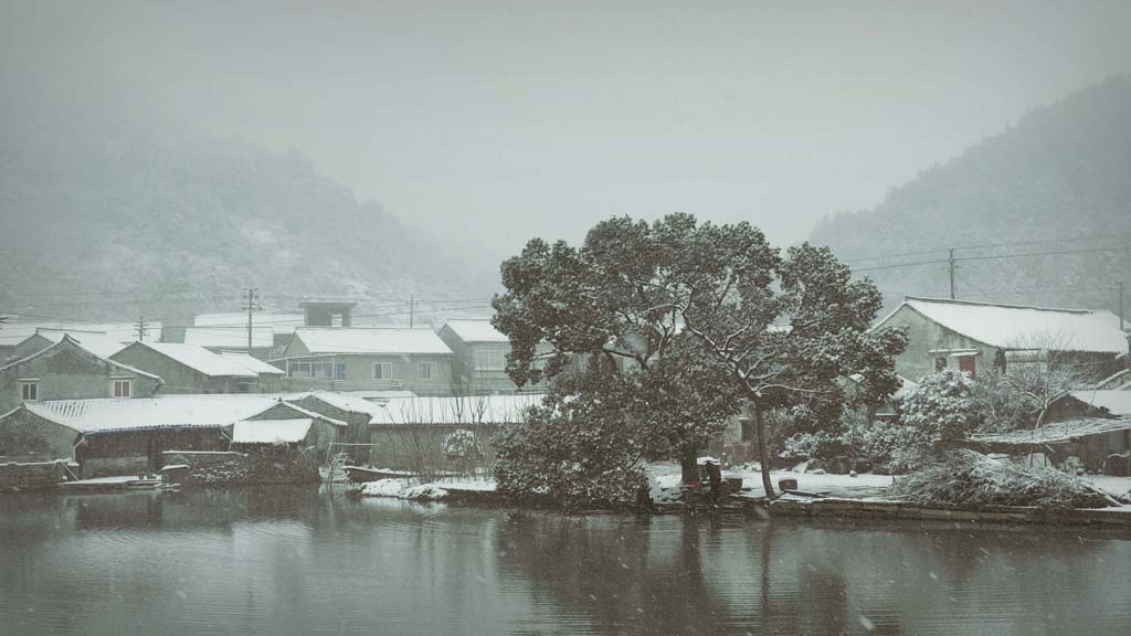 村树 摄影 停不下的