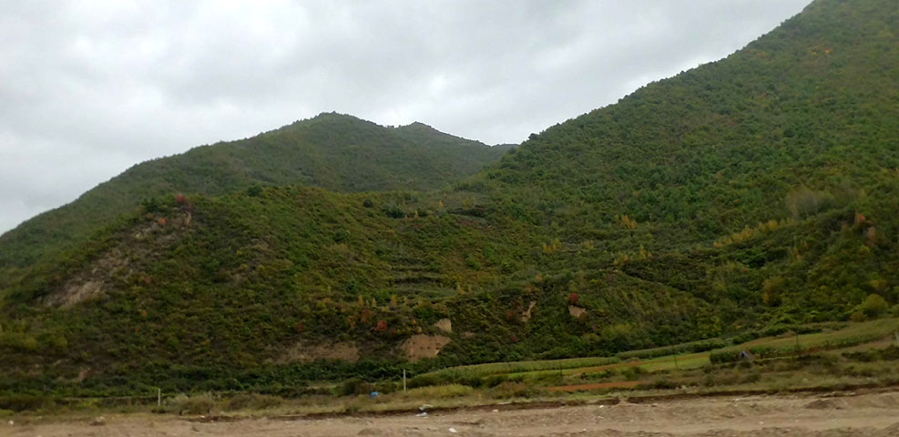 路上的风景 摄影 紫色女人