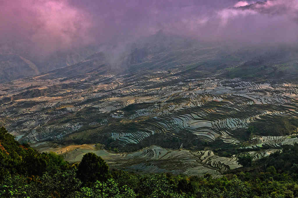 云雾下的梯田 摄影 蜀云大地