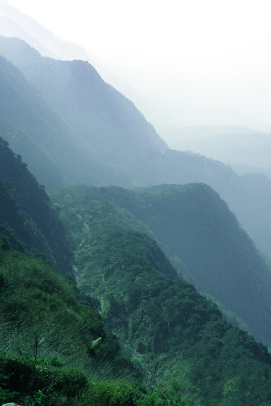 泰山 摄影 科莫多