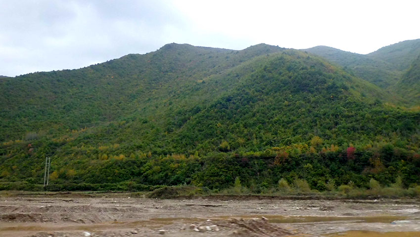 路上的风景 摄影 紫色女人