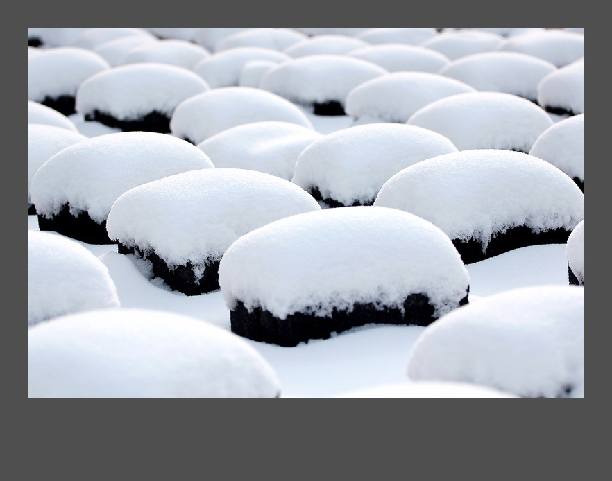 练习拍雪 摄影 闫俊冬