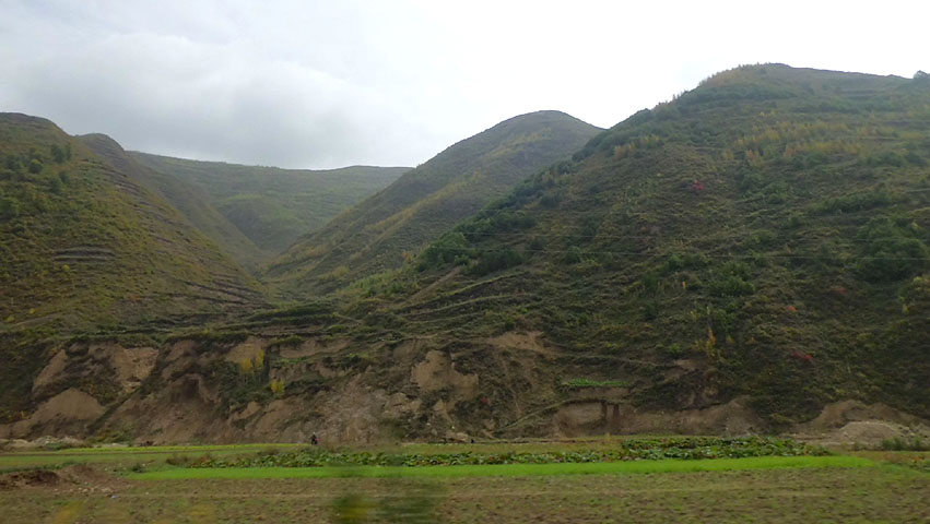 路上的风景 摄影 紫色女人