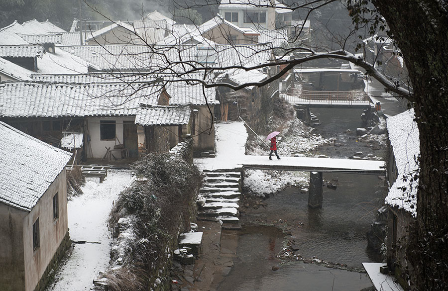 金冠雪景 摄影 老黄牛.