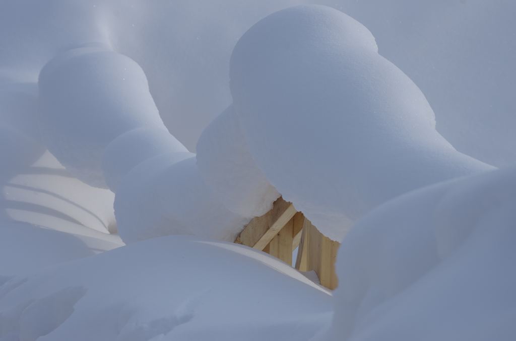 雪乡行 15 摄影 寒心