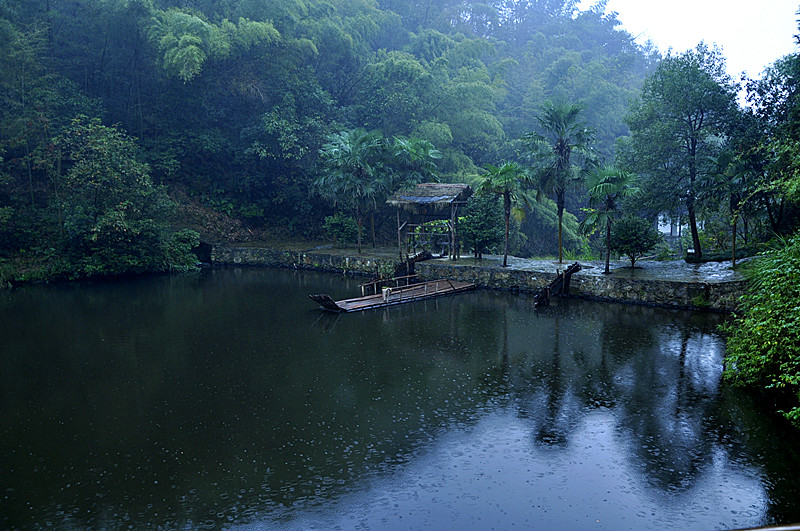 桃花源记(24)雨中即景 摄影 秋天的玫瑰