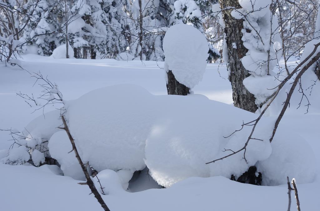 雪乡行 20（ 请点击！ ） 摄影 寒心