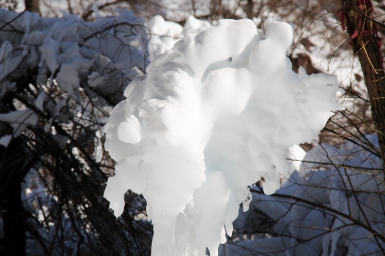 炫色雪 摄影 飞舞的凤