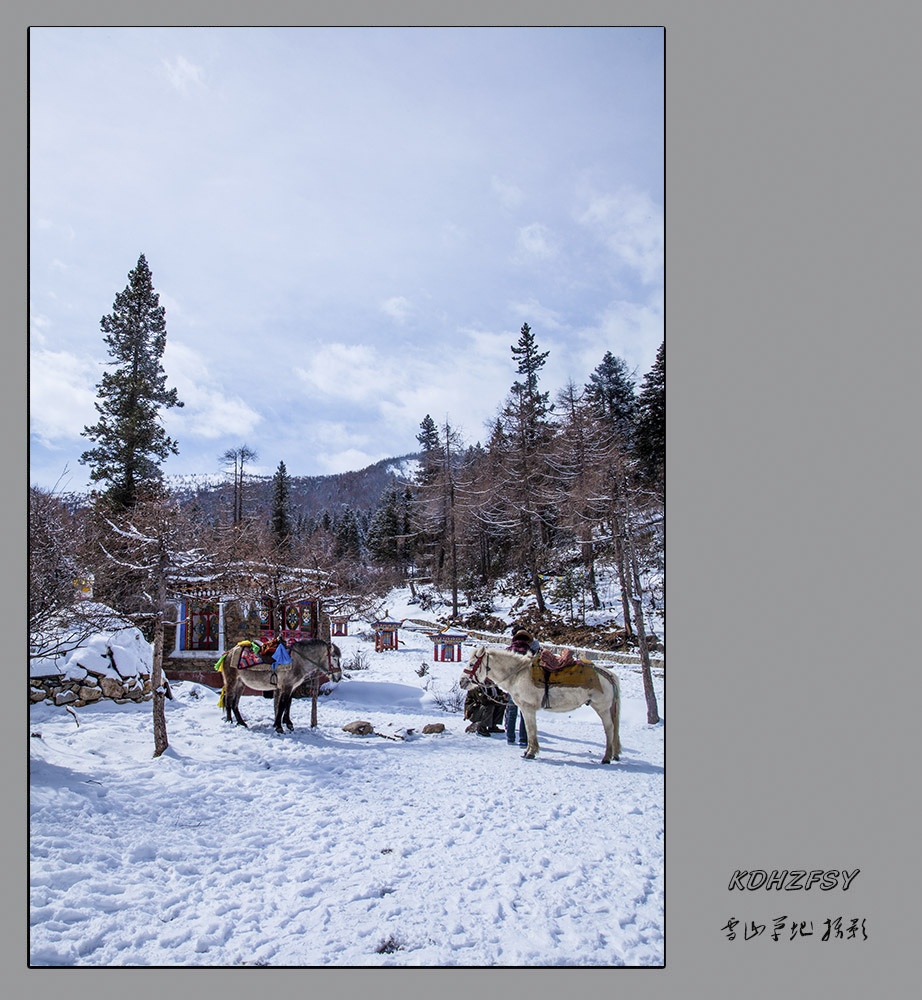 雪野行踪 摄影 雪山草地