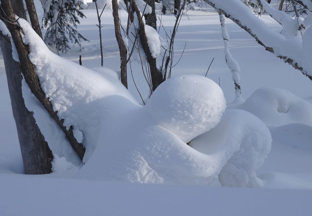 雪乡行 21 摄影 寒心