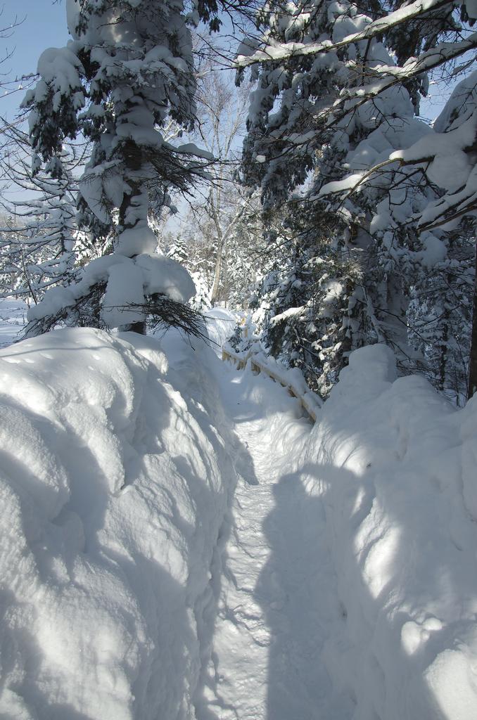 雪乡行 16 摄影 寒心