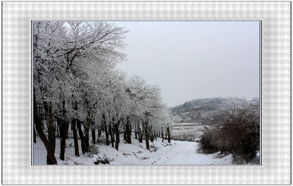 雪原 摄影 ghp0