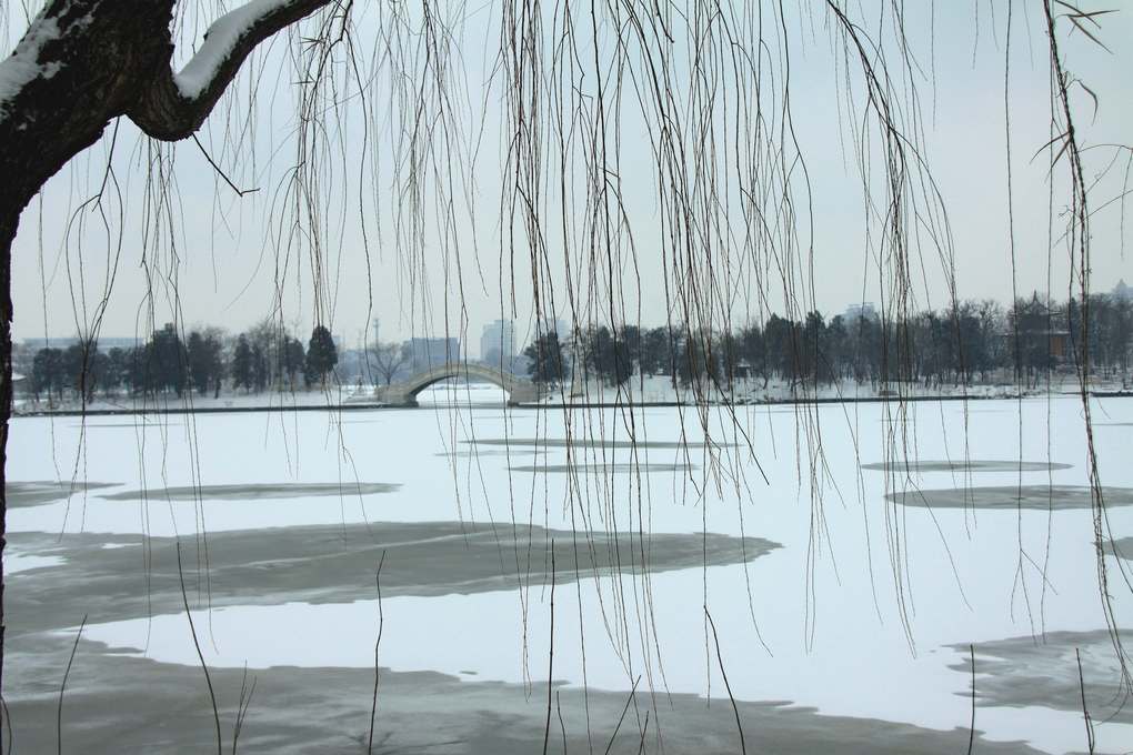 雪后公园 摄影 望断秋水