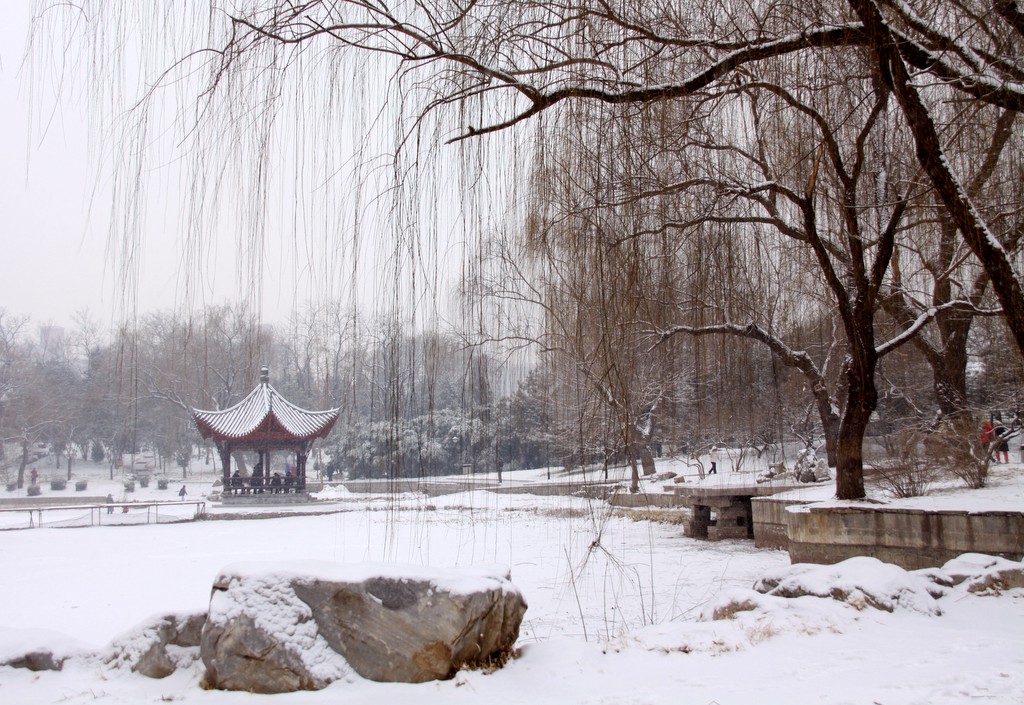 陶然亭雪景 { 1 } 摄影 TT1948