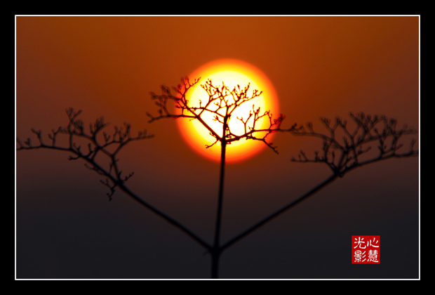 夕阳无限美 摄影 光影心慧