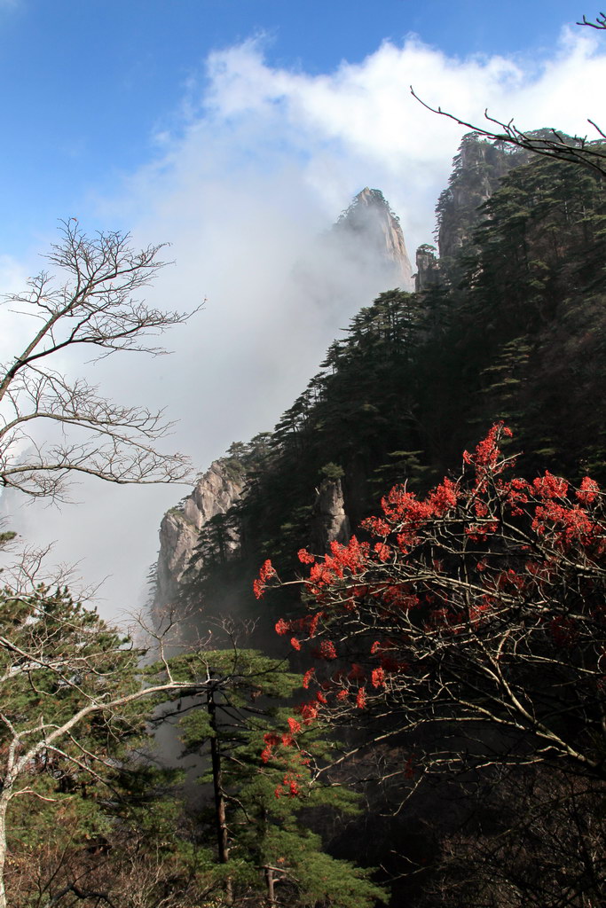 黄山风光（9）层次 摄影 shine2012