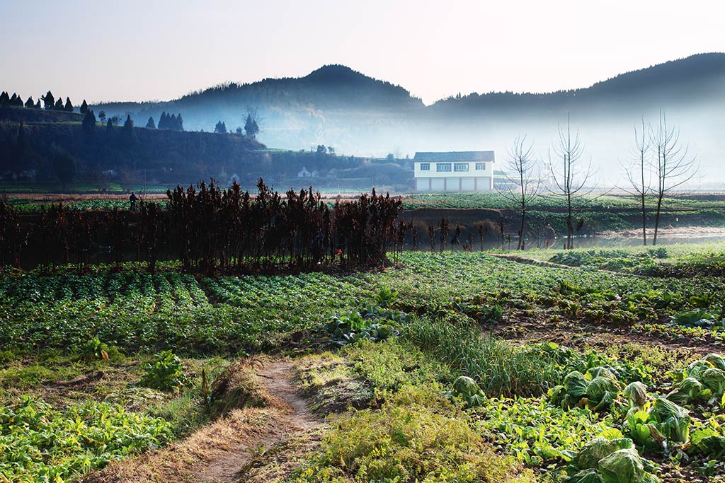 川北小山村 摄影 风了尘