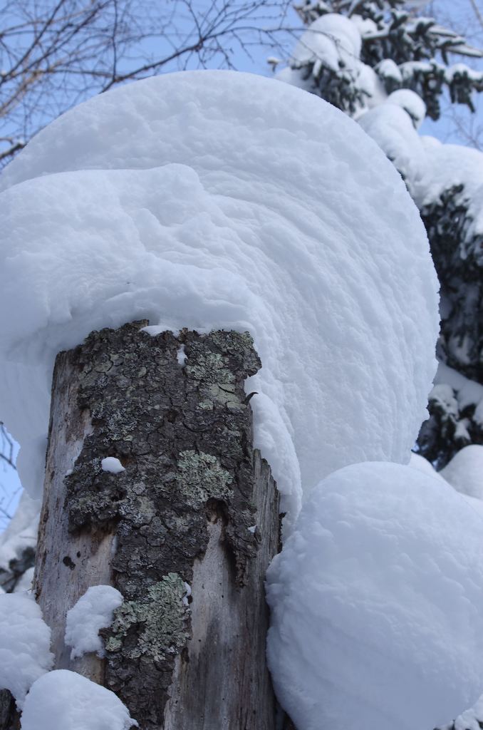 雪乡行 24 摄影 寒心