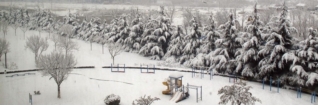 窗外雪景 摄影 溪旁老树