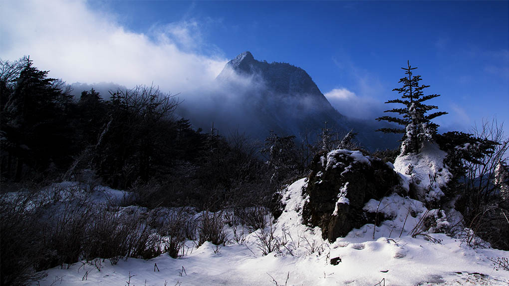 风雪二郎山 摄影 欢哥