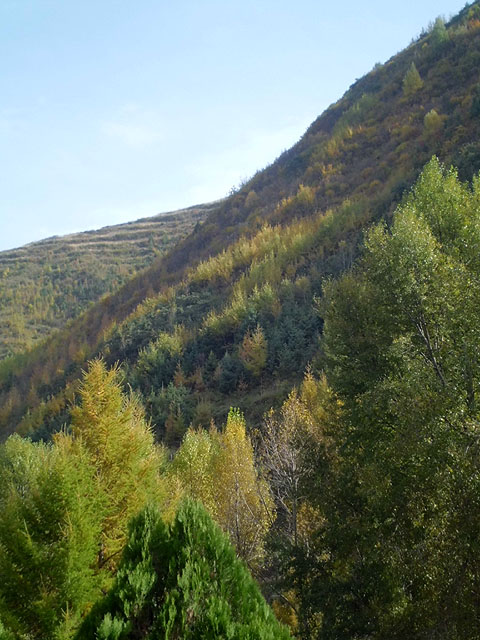 路上的风景 摄影 紫色女人