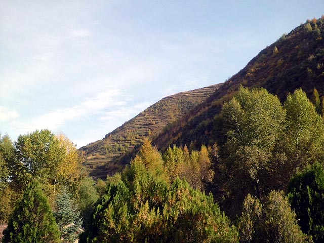 路上的风景 摄影 紫色女人