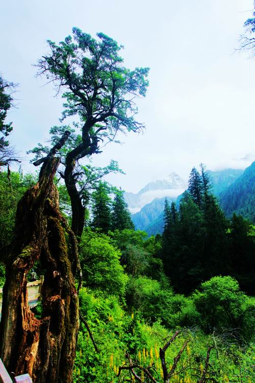 长平风景 摄影 明日影星