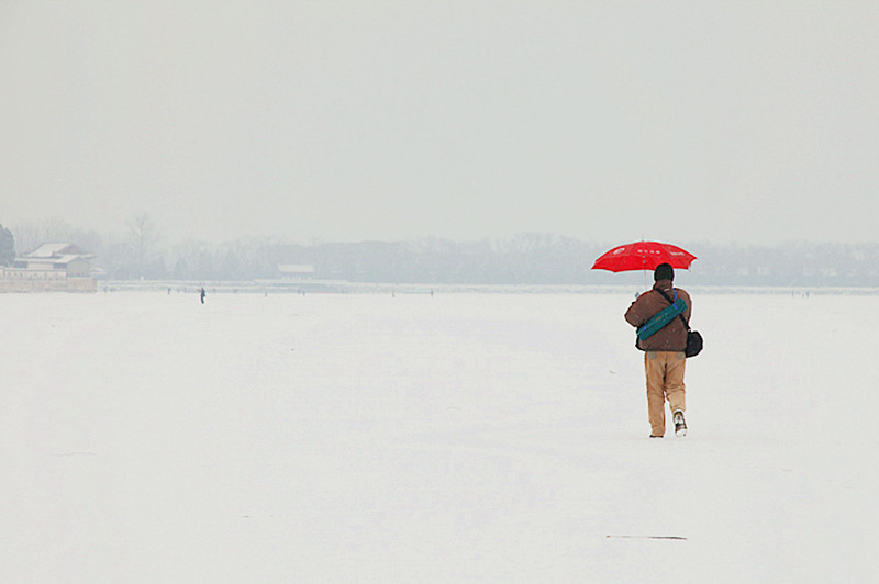 踏雪 摄影 秦川76