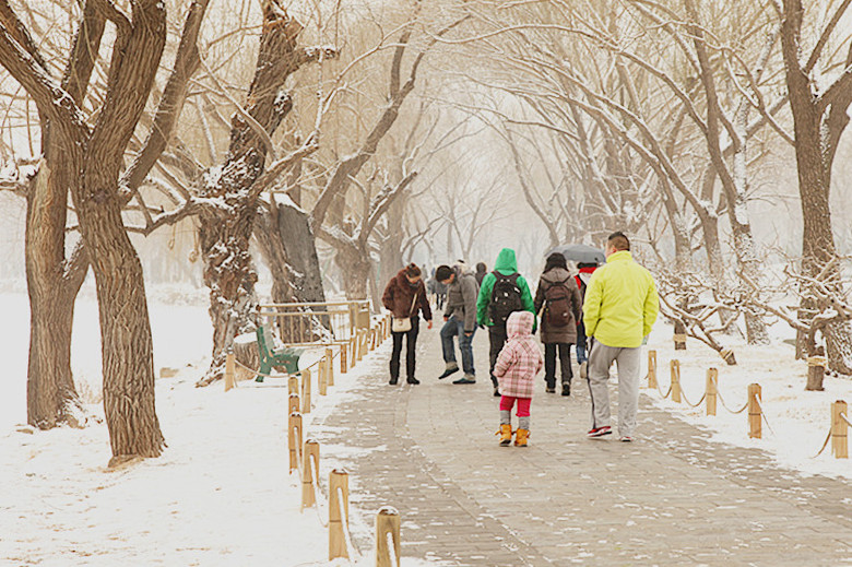 赏雪 摄影 秦川76