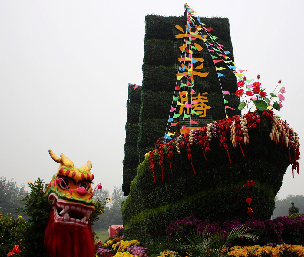 金秋赏菊39 摄影 gongmf