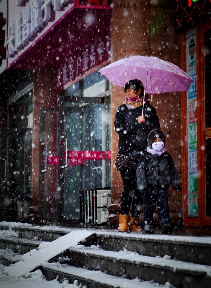 雪中母子行 摄影 实在人