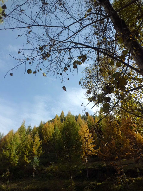 路上的风景 摄影 紫色女人