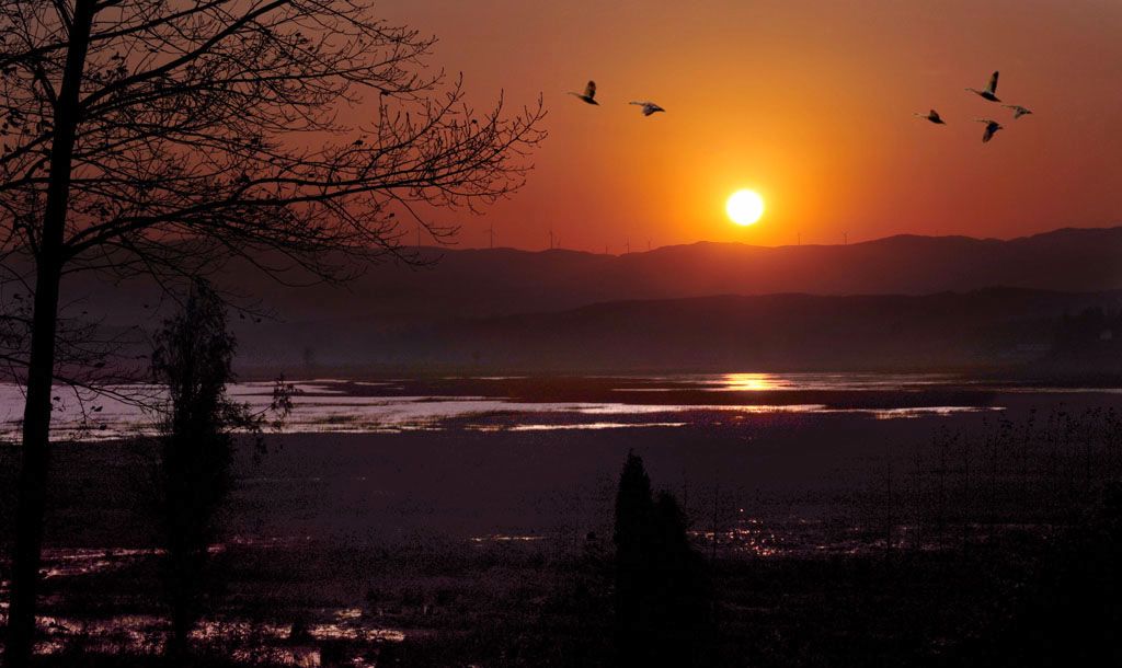 草海夕阳 摄影 少城清风