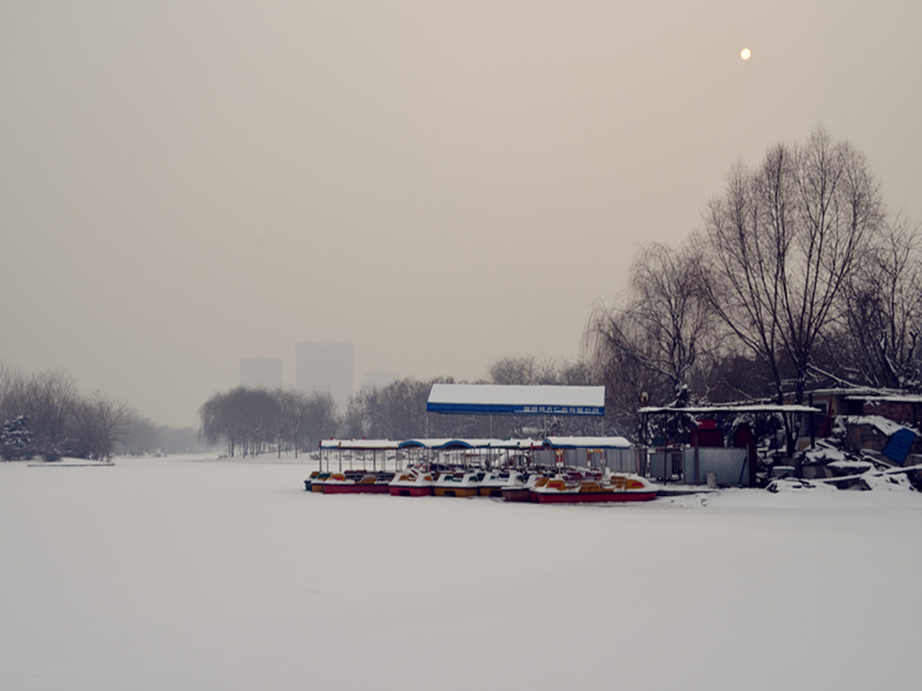 雪后 摄影 金刚杵