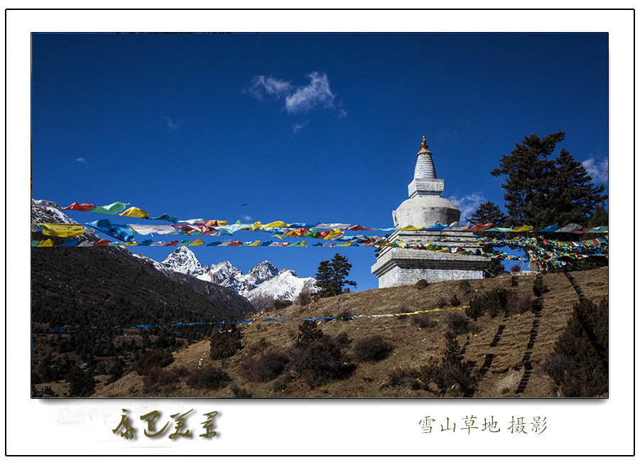 康藏元素 摄影 雪山草地